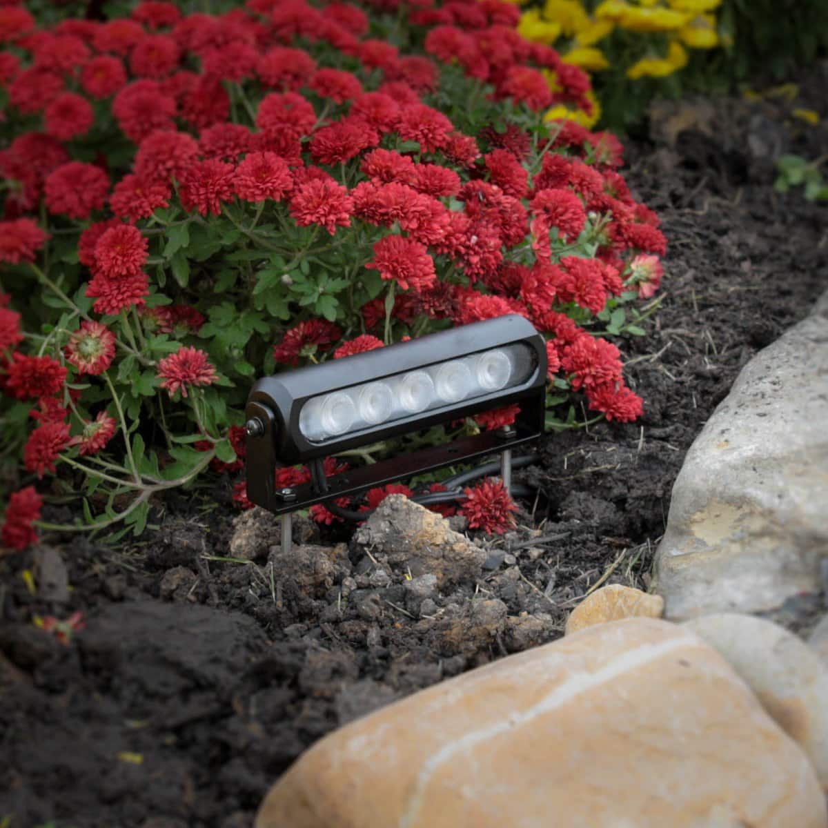 Full Color WiFi LED Feature Light Feature Lights Haven Lighting