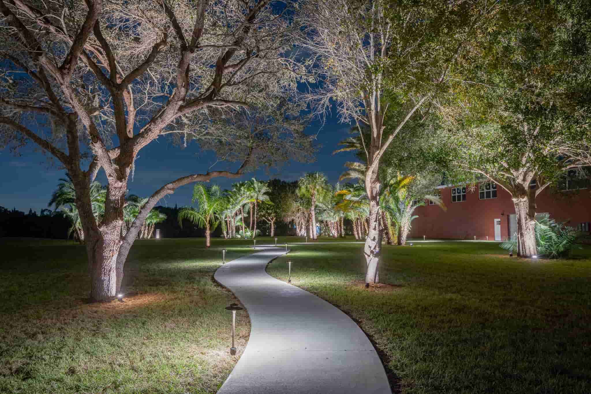 Landscape lighting illuminating a curved pathway with trees at night.