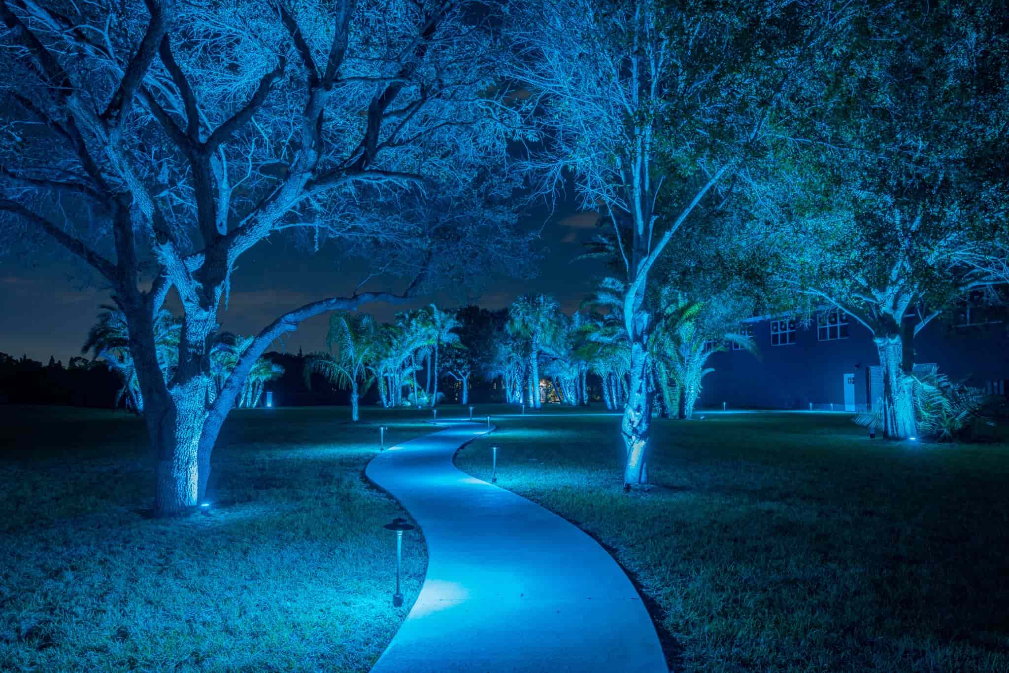 Serene garden pathway illuminated with vibrant blue landscape lighting at night.