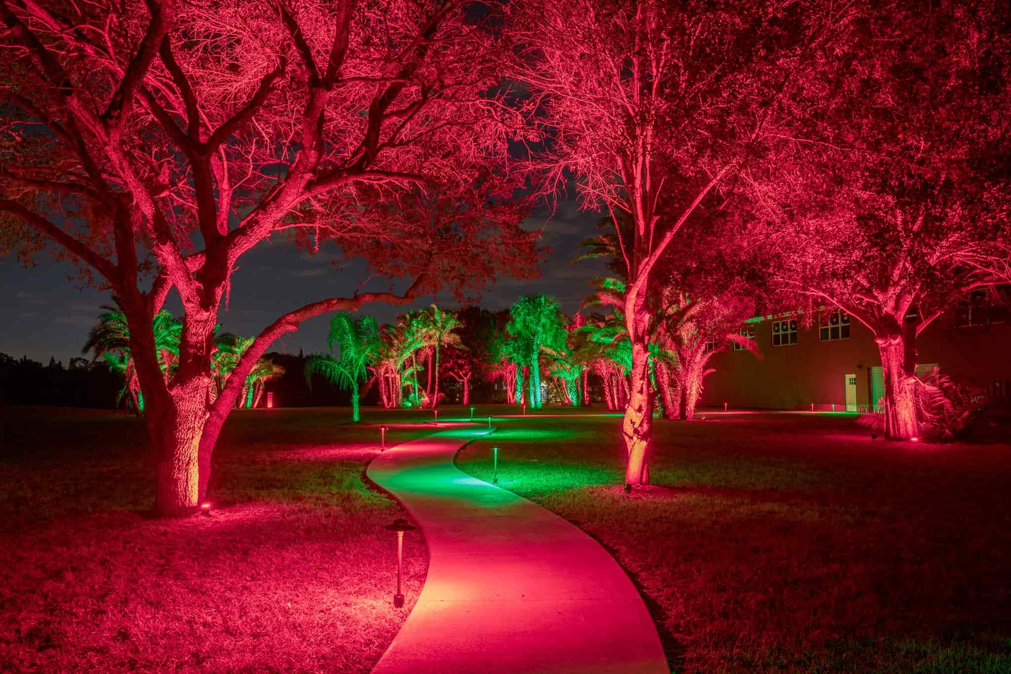 Pathway illuminated by red and green landscape lighting with trees and palms lit up for a vibrant nighttime display.