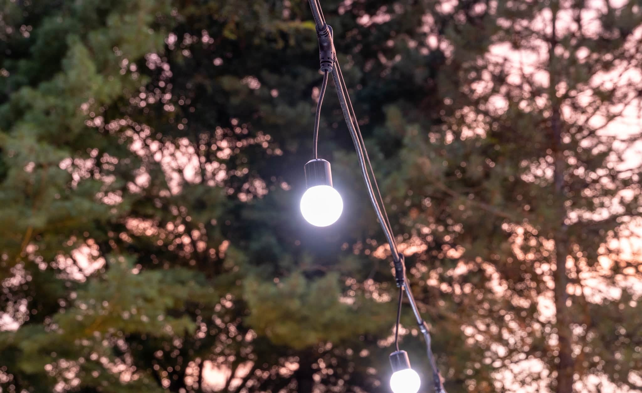 Bistro Lights