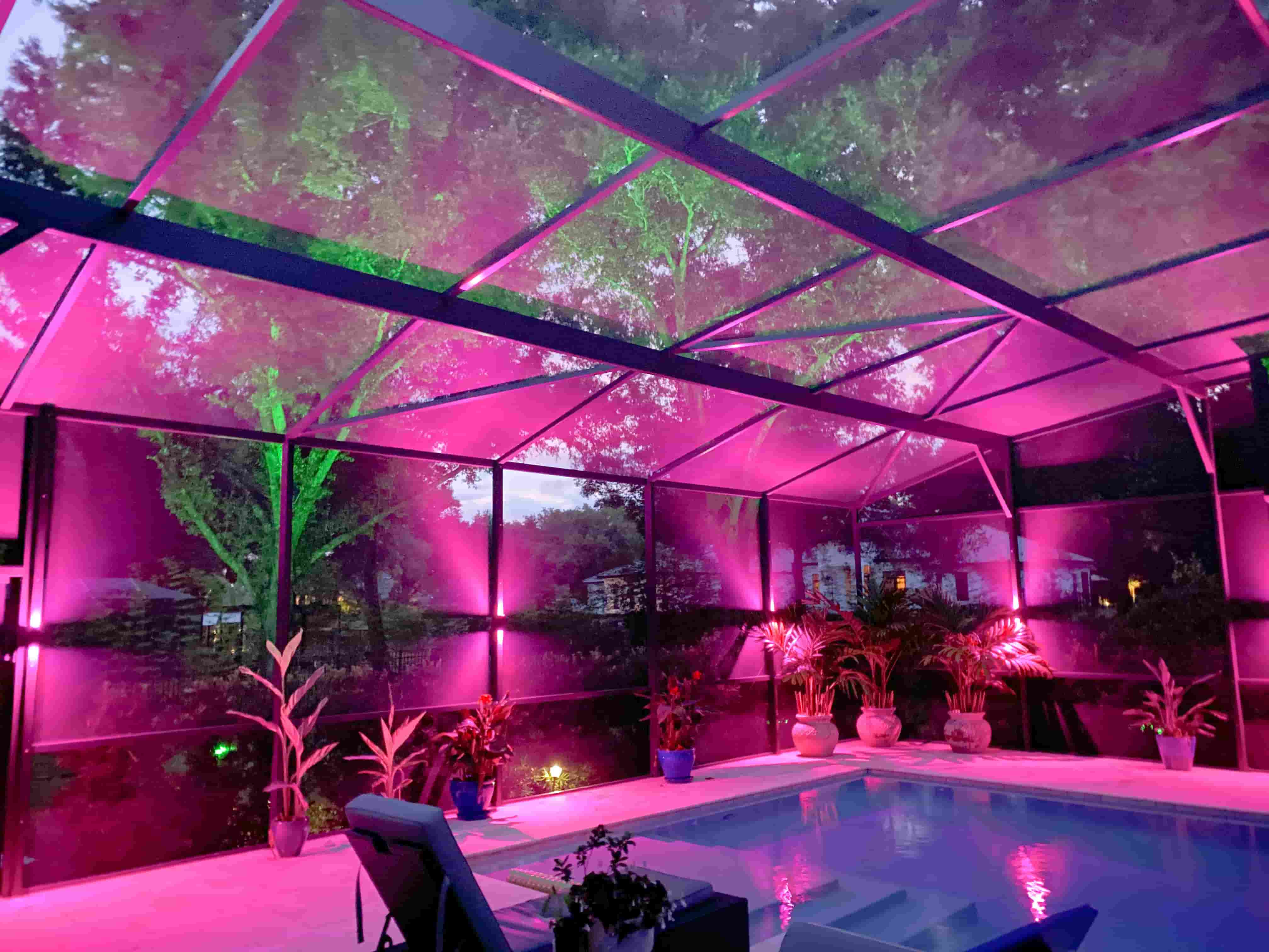 Vibrant LED pool enclosure lighting with pink and green uplights creating a colorful backyard ambiance.