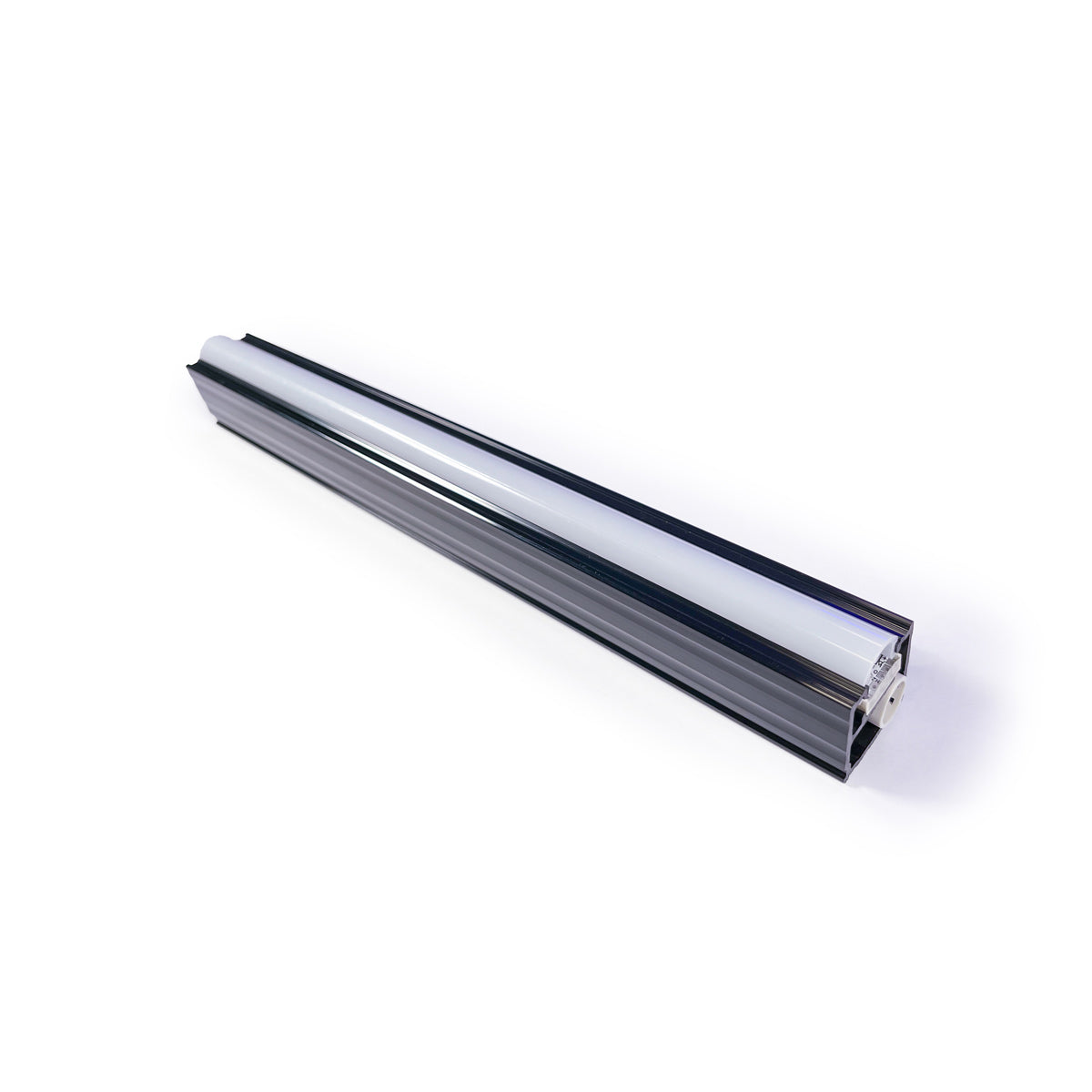 X Series Evolution - 12 Inch Light (10 Pack)